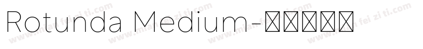 Rotunda Medium字体转换